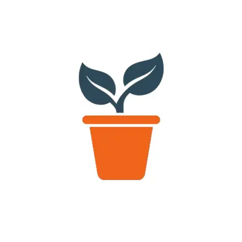 Learning Experience — implementation and adoption in LMS
